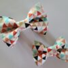 Colorful Dog Bow Tie